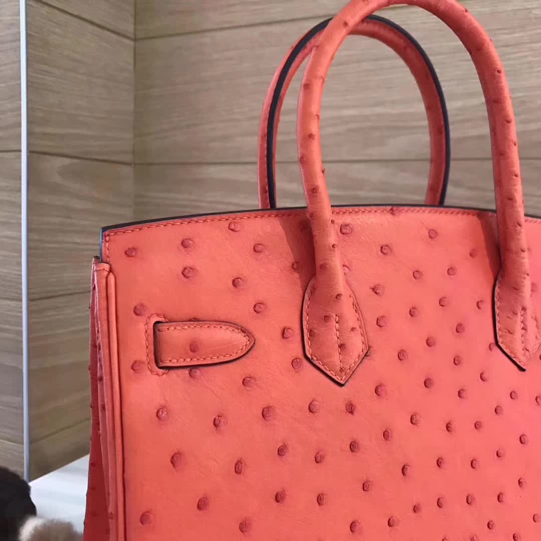 Hermes Birkin Bags